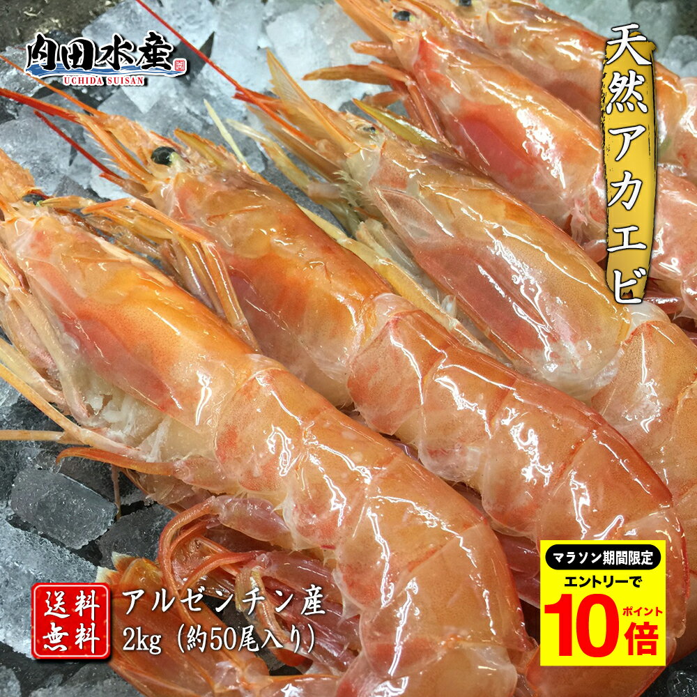 【9日からのマラソン期間限定ポイント10倍】【送料無料】”特大アカエビ2kg” 約50尾入り 赤海老 赤エビ 赤えび えび エビ 訳あり 業務用 飲食店 刺身 塩焼き BBQ 市場 ギフト