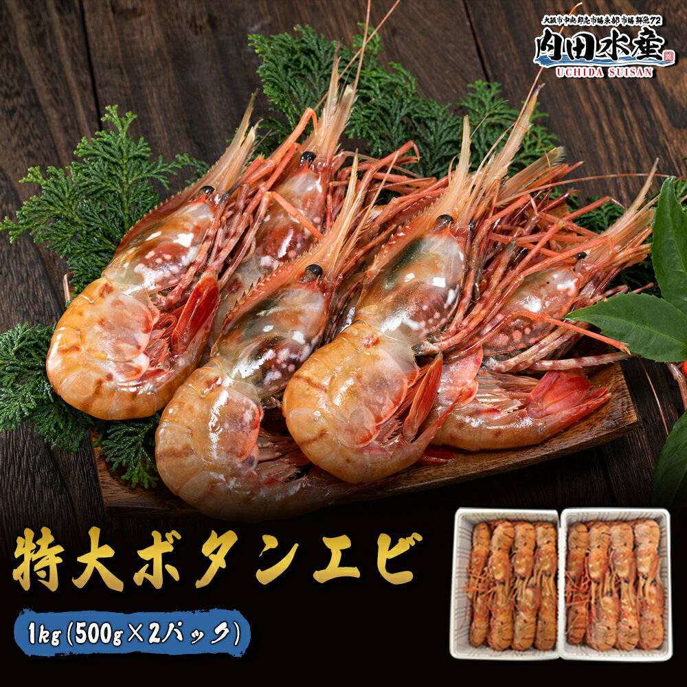 ＼1/1から1/2の確率でポイントバック最大200％／【送料無料】”特大ボタンエビ1kg” ボタンエビ ぼたんえび えび エビ 海老 刺身 寿司 海鮮丼 1kg 特大 2l 食品 飲食店 市場 ギフトのサムネイル
