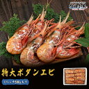 ボタンエビ 送料無料 海老 エビ 特大 LLサイズ 500g 7-8尾入 お刺身OK ロシア お徳用 業務用 ボタンエビ ぼたんえび ”ボタンエビ500g”
