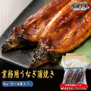 うなぎ 送料無料 有頭うなぎ 中国産 蒲焼 ロストラーダ種 業務用 プロ仕様 15-16尾 5kg 冷凍 うなぎ 鰻 ウナギ お歳暮 年末予約 ”業務用うなぎ蒲...