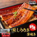 送料無料 うなぎ 国産 蒲焼 蒸し うなぎ 1尾 160-180g前後 タレ山椒付き2個 冷凍 食べ方解説書付き うなぎ 鰻 ウナギ ”蒸しうなぎ蒲焼1尾入り”