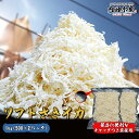 ソフトさきイカ 1kg 500g×2パック 送料無料 おつまみ お徳用 常温便 さきいか サキイカ ポイント 買いまわり お歳暮 年末予約 ”ソフトさきイカ1k...
