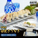 送料無料 うなぎ 中国産 白焼 ニホンうなぎ 2尾 220-240g前後 冷凍 化粧箱 食べ方解説書付き うなぎ 鰻 ウナギ ”白焼きうなぎ2尾入り”