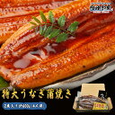 \最安値に挑戦/うなぎ 蒲焼き 鰻 ウナギ 2尾 化粧箱入り タレ 4個 山椒付き 食べ方解説書付き 中国産 ”特大うなぎ蒲焼2尾入り”