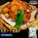 フグ 天然フグ ふぐ 国産 500g フグ 唐揚げ お弁当 おつまみ 贈り物 ”国産天然ふぐ唐揚げ500g”