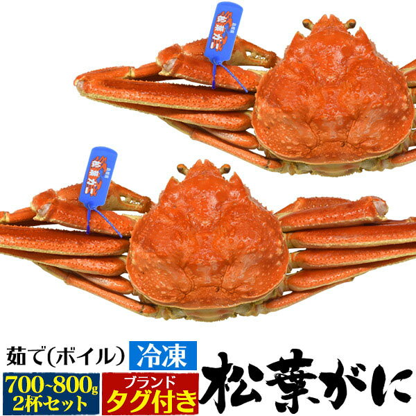 ※内容量表記は茹でる前の重さです。 茹でると15〜20％程度目減りします。 カニ水揚げ量日本一の境港水揚げ！ 茹で冷凍松葉ガニ 700g〜800g 2杯セット カニ水揚げ量日本一の境港水揚げ！茹で冷凍松葉ガニ。 全国的にも有名な山陰産ブランド松葉ガニ。 もちろん、山陰水揚げの証の産地証明ブランドタグ付きです。 外国産とは違う、ブランド松葉ガニの豊かな味わいをご堪能ください。 プロによる釜茹で(ボイル)したあと、美味しさをそのまま急速冷凍。 自然解凍(冷蔵庫)するだけで、松葉ガニの本来の味をご堪能頂けます。 製品仕様 産地 島根県/鳥取県(境港水揚げ） 内容量 2杯（700g〜800g /1杯あたり） ※表記は茹でる前の重さです。茹でると15〜20％程度目減りします。 ※大きさには個体差があります。 保存方法 要冷凍−18℃以下 賞味期限 ご家庭の冷凍庫では1ヶ月程度を目安にお早めにお召し上がりください。 注意 ※冷凍・再ボイルすると品質が損なわれます。 ※解凍後はなるべくお早めにお召し上がりください。 ※一番下の細い脚は折れてても、脚折れにカウントされません。予めご了承ください。