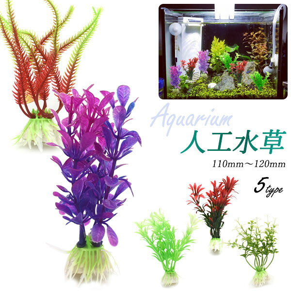 カラフルで華やか 人工水草(1袋2個入り) Sサイズ 形や色が異なるカラフルな人工水草です。 パープル、ホワイト、レッド、レッドグリーン、グリーンの5種類からお選び頂けます。 人工水草は枯れることがなく、水草を育成させる必要がないので 初心者の方でも手軽にアクアリウムを楽しむことができます。 色とりどりの水草で水槽を華やかに飾ることができます。 ※水槽、熱帯魚などその他小物は付属しません。 ※海外輸入商品です。多少の傷・汚れはご了承ください。 ※画像の色調はご使用のモニターの機種や設定により実際の商品と異なる場合があります。 製品仕様 カラー パープル/ホワイト/レッド/レッドグリーン/グリーン 素材 プラスチック、セラミック サイズ（約） 高さ:110〜120mm 土台:26×15mm 重さ（約） 10〜13g 注意 ※商品の大きさや色に個体差があります。 ※ご使用前に一度洗ってからご使用下さい。 ※変形する場合がありますので、商品に熱湯を使用しないで下さい。