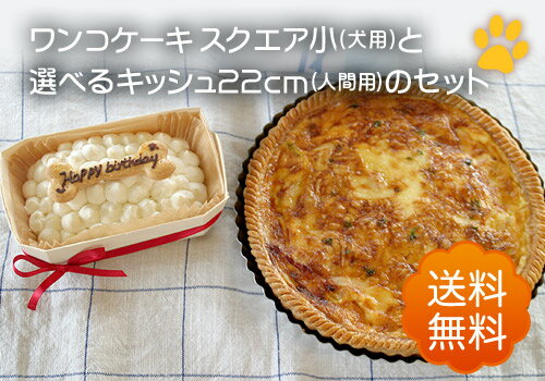 【犬用ケーキスクエア小とキッシュ22cmのセット】(送料無料)ワンコ用ケーキと人用キッシュのセット