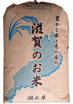 【もち玄米】滋賀羽二重餅 もち玄米25kg 令和6年産 ※北海道・九州400円・沖縄2,800円割増
