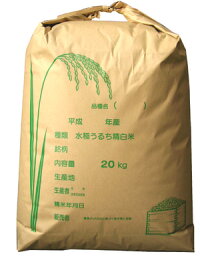 埼玉産コシヒカリ