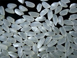 【送料無料】アメリカカリフォルニア産カルローズ10kg(5kgx2)2016年度輸入米北海道・九州500円割増、沖縄1,500円割増【RCP】