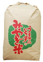 すし飯にも最適!