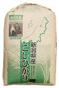 yāzVY ʍ͔| RVqJߘa5NY]䂳̂Ђ茺25kg/22.5kgkCEB400~E2,800~