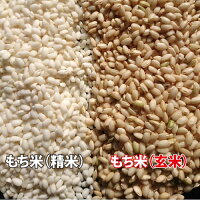 【新米】【もち米玄米】山形産ヒメノモチ令和2年産もち米玄米5kg