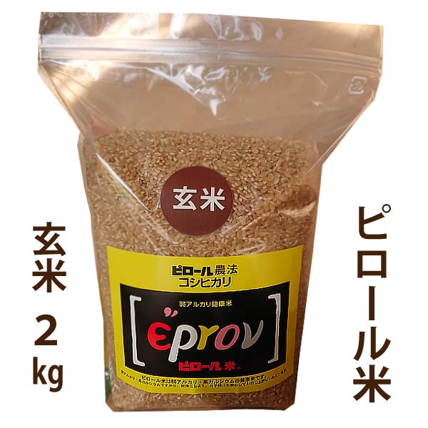 楽天内野米穀【玄米】ピロール米 福井産 コシヒカリ 令和5年産 玄米2kg