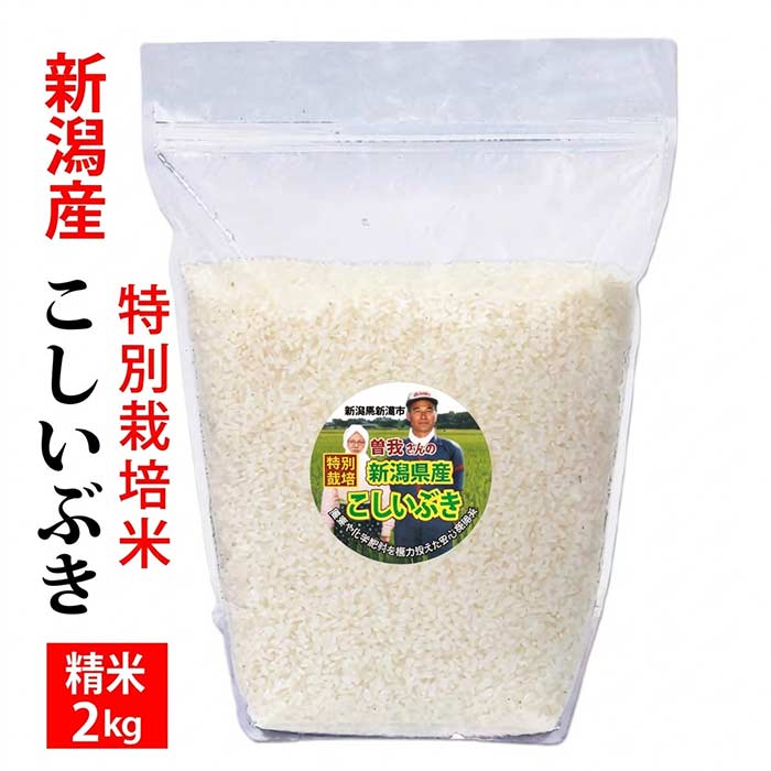 楽天市場】こしいぶき5キロの通販