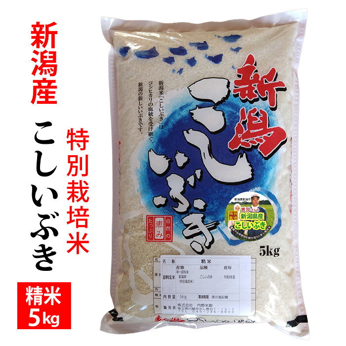 楽天市場】こしいぶき5キロの通販