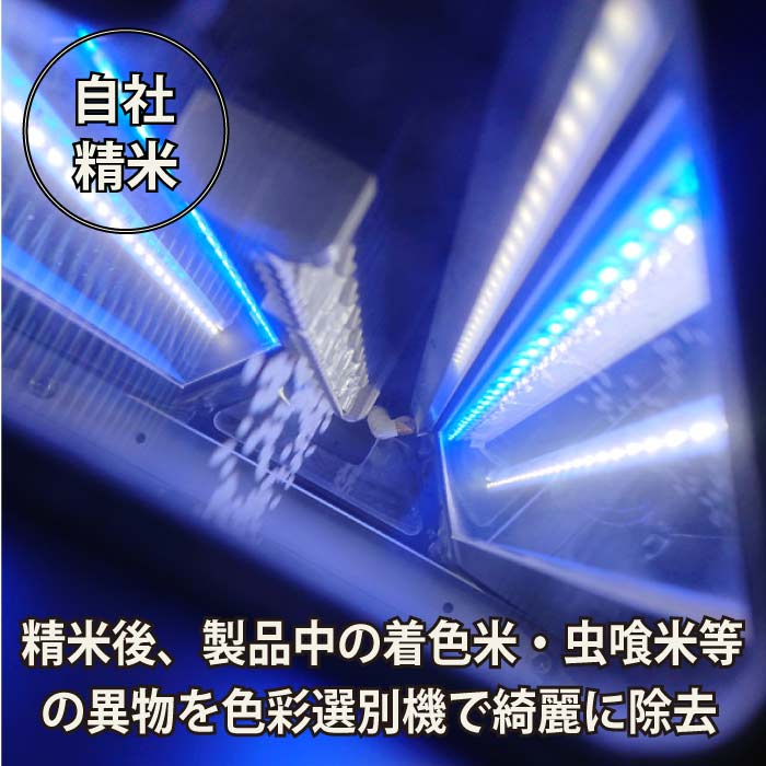 【精米】埼玉産 彩のきずな令和7年産 2kg※北海道・九州400円、沖縄他離島1,800円割増