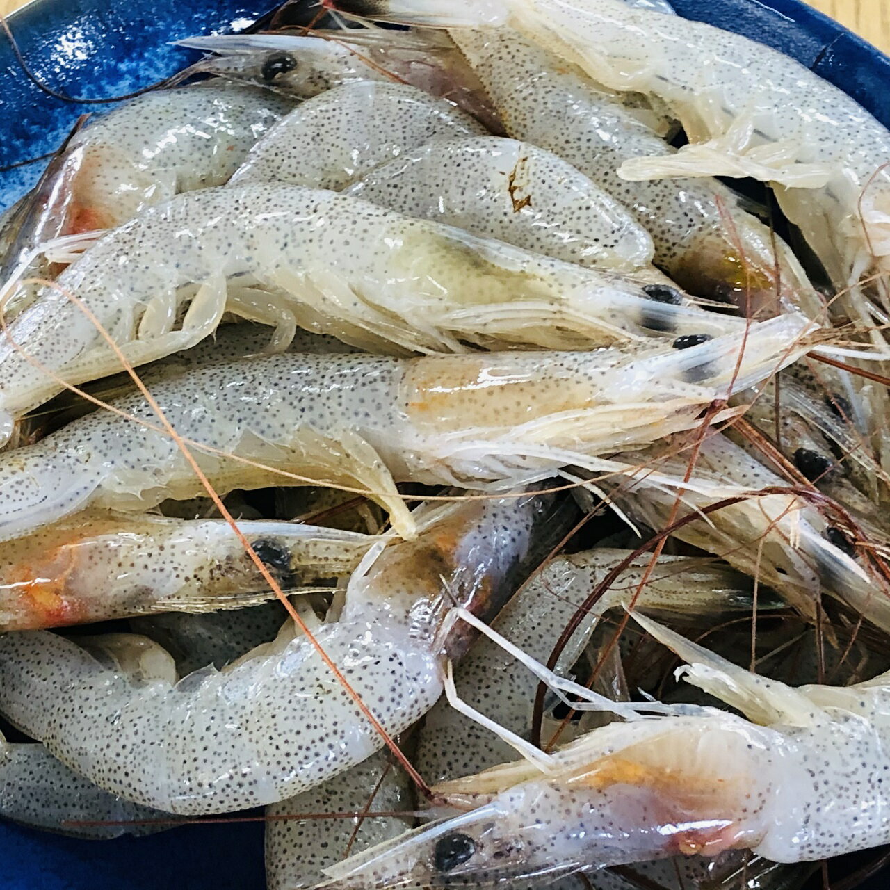 【送料無料】有明海産　芝えび　2kg（1kg×2）　冷凍発...