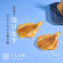 【プチ贅沢】おつまみ プチギフト 脂ののった のどぐろ浜焼 チャック付き 珍味 のどぐろ 1袋 41g 送料無料 uchinoate