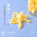 【プチ贅沢】 おつまみ プチギフト もちっと ぼてっと 濃厚チーズいか チャック付き 珍味 チーズ いか 1袋 65g 送料無料 ぽっきり ポッキリ uchin...