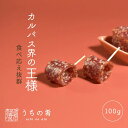 【プチ贅沢】 おつまみ トンでる美味しさ 大判カルパス チャック付き 珍味 カルパス 1袋 100g 送料無料 うちの肴 うちのあて ぽっきり ポッキリ uch...