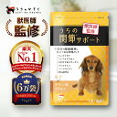 【初めての方は300円OFF】 関節 サプリ サプリメント 90粒入 犬 猫 モエギイガイ グルコサミン コンドロイチン プロテオグリカン 非変性2型 コラーゲン DHA EPA 緑イ貝 ミドリイガイ 治療 関節 薬 老犬 筋肉 骨 腰 脱臼 うちの関節サポート サポーター ドッグフード