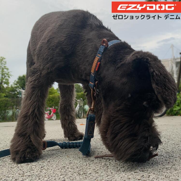 ショック吸収犬リード伸縮性超小型犬...