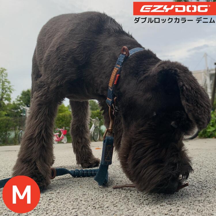 乐天商城 - EZY DOG 【ダブルロックカラー （デニム：Mサイズ）】 犬 カラー 中型犬 イージードッグ 首輪