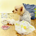 【送料無料】フルーツ柄 サニタリーパンツ S/M/L/XL CRAZYBOO クレイジーブー 犬服 ドッグウェア 小型犬