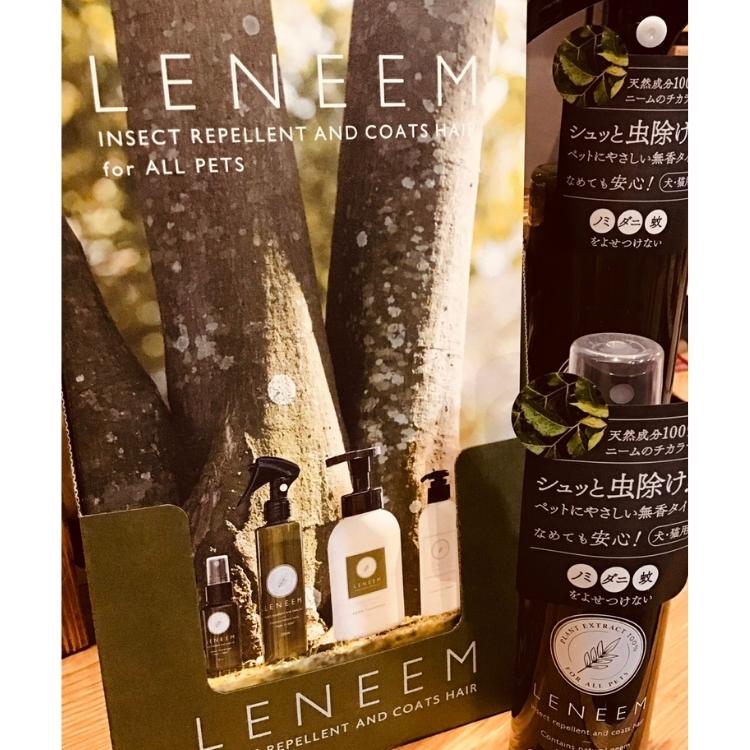 ��ˡ��� �� ���� 200ml �� ( �ʥ����� ��褱���ץ졼 ���楱�� ���ӥ��� ������ ����ɥ������ �ߥͥ�� ����� �Υ� ���� �� �ͤ��ؤ� �ѥ��� )