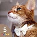 【送料無料】necono 猫 首輪【Luce Ribbon pastel】全5色 ルーチェリボンパステル 日本製 安全 猫用品 ねこ ギフト