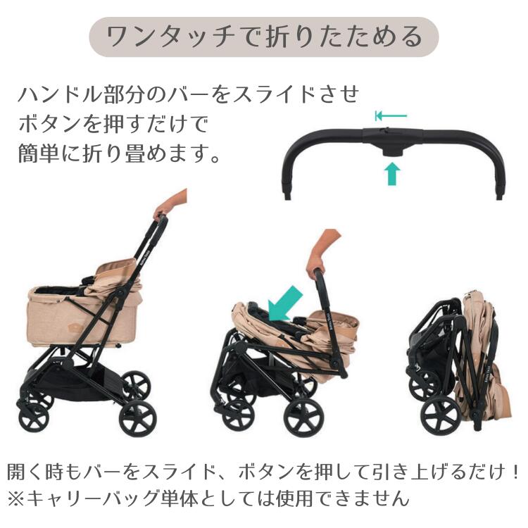 �������ƥ��륺 �ե�����󥹡�����̵���ۡڥ᡼����ľ���۾����� �淿�� �� ǭ �ڥåȥ����� �ڥåȥ���꡼ Royal Tails Florence