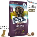 ハッピードッグ【 アイルランド(サーモン&ラビット)12.5kg 】HAPPY DOG 無添加 無着色 グルテンフリー 皮膚被毛ケア 関節ケア
