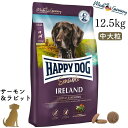 ハッピードッグHAPPY DOG 無添加 無着色 グルテンフリー 皮膚被毛ケア 関節ケア