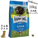 ハッピードッグ 子犬用【 ジュニア ラム&ライス 10kg 】HAPPY DOG ヤング 無添加 無着色 グルテンフリー 消化器ケア 関節ケア