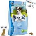 ハッピードッグ 子犬用【 ミニ センシブル パピー (ラム&ライス) 4kg 】HAPPY DOG 無添加 無着色 極小粒 消化器ケア 関節ケア 61251