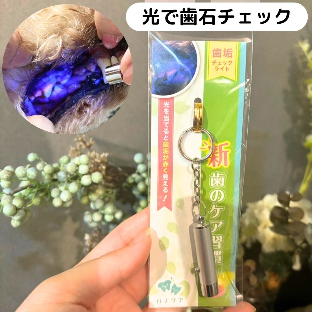 ϥΥ å饤 (   ᤭ƥ  ǭ ڥå KPS ԡ ޥ)