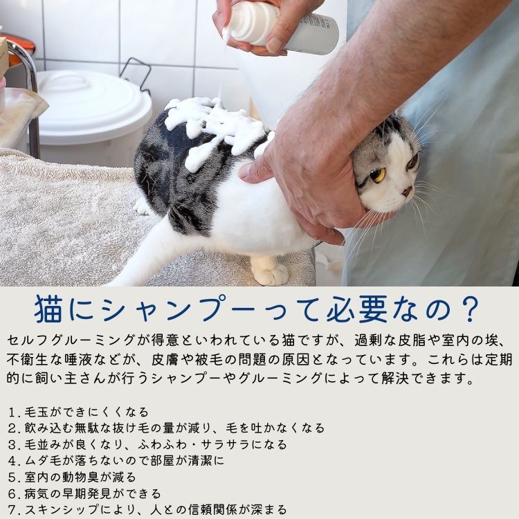 A.P.D.C. 猫用 プロフェッショナル フォーミングシャンプー【ナチュラル】180mL 泡...