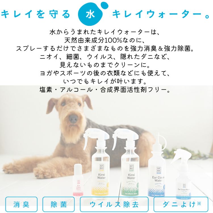 サンプル画像2
