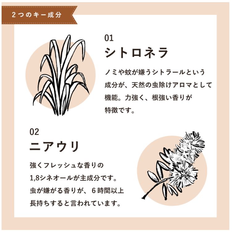 �������˥å� �ɥå� �����ȥɥ����ץ졼 �⥹������ 50mL ���� �����ȥɥ����ץ졼 �ᥤ�ɥ��֥������˥��� ŷ�� �������鿷����