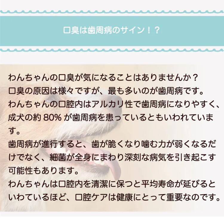 �ӡ��ߡ��ˡ� �֥쥹���� ���ץ졼 50ml ���Х��� ���� ���᤭ �ý� ������ Cheramos bee mee nee ����⥹ ������� ���� ǭ�� �ե�ܻ� ����������Ź��