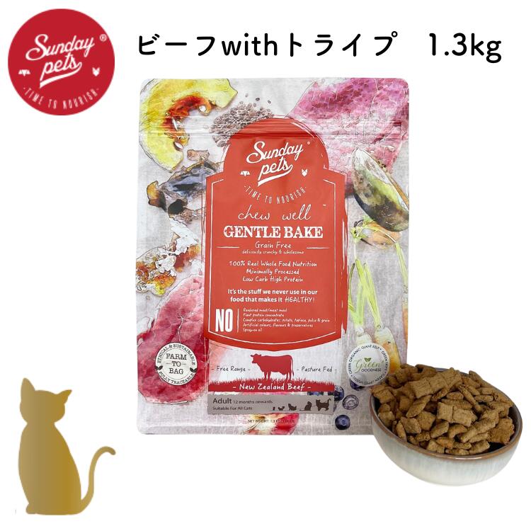 乐天商城 - サンデーペッツ ジェントルベイク 猫用【 ビーフwithトライプ 】1.3kg グレインフリー ドライフード 総合栄養食