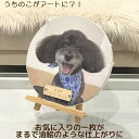 うちのこキャンバスフォト■レザー ペット メモリアル オーダーメイド 写真 メモリアルグッズ 名入れ 犬 猫 ギフト オリジナル 誕生日 記念日 インテリア フォト ペット供養 遺影 キャンバス うちのこ記念日 かわいい プレゼント プリント 印刷 イラスト 子供の絵 アート 絵