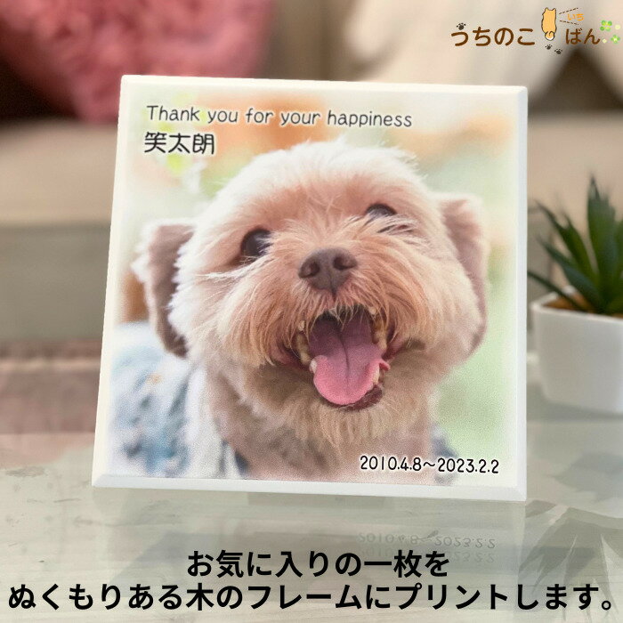 パグ フォーン ぬいぐるみ 犬 イヌ いぬ リアル faithful friends 犬雑貨 犬のぬいぐるみ 誕生日 お祝い お悔やみ おもちゃ 小学生 可愛い 輸入雑貨 ひっつぅ〜くん【大】 ルシアン クリスマス プレゼント