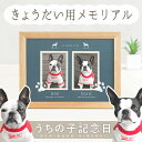 \超お得な20%OFFクーポン配布/うちの子記念日・ギャラリーフレーム きょうだいタイプ/ペット メモリアル フォト フレーム グッズ 記念 肉球 写真 オリジ...