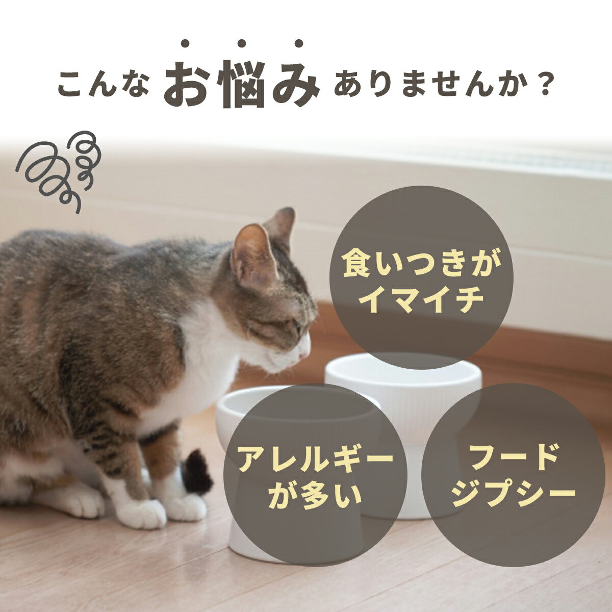 �ե������ȥᥤ�� ����åȥա��� ������(1kg 1.8kg 4.54kg) ������ ������ �֥롼�٥꡼ �ѥ��ե��å����������ե��å��� ������ ������ �֥롼�٥꡼ �������ȥ�ꥢ���� ��ʪ�Ի��� �ɥå��ա��� �ڥå� ǭ �ա���