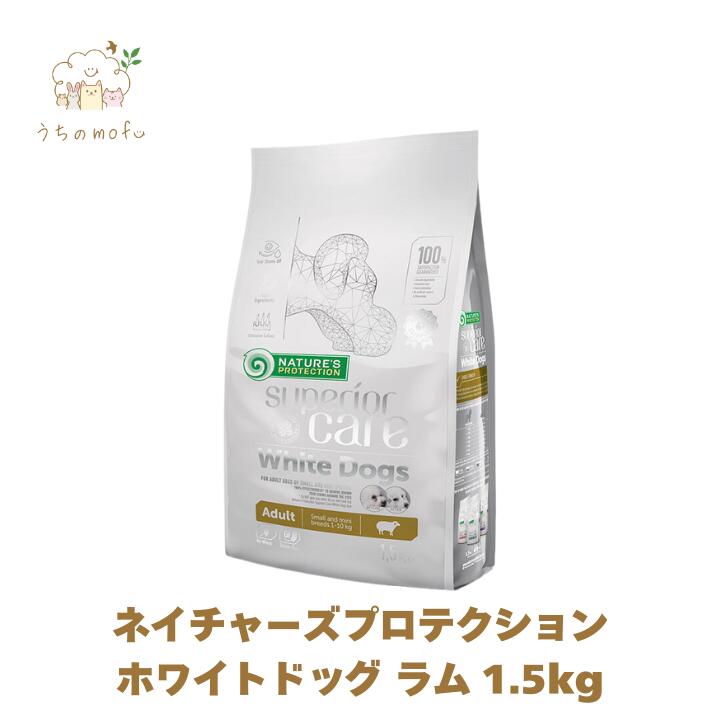 楽天市場】ホワイトドッグ 10kgの通販