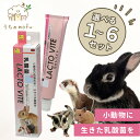三晃商会 ラクトバイト 50g 栄養補助食 乳酸菌 うさぎ フェレット モルモット ペースト 栄養補助食品