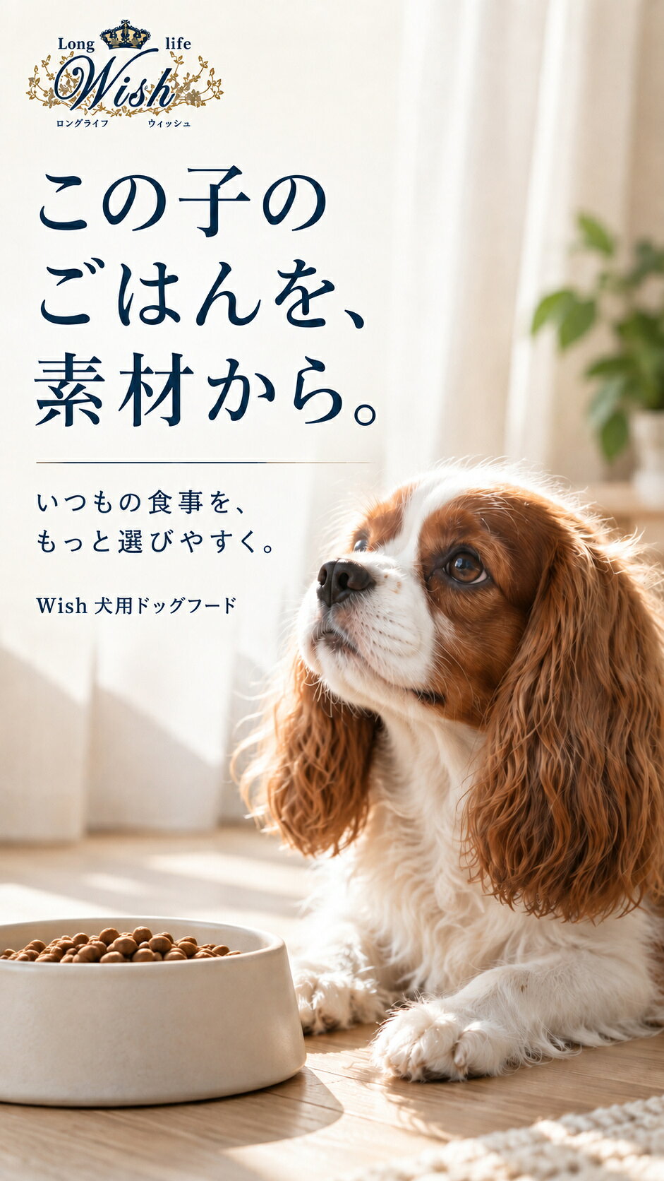 ウィッシュ Wish ソリューション 犬用 ドッグフード サーモン ワイルドボア ターキー ワイルドパピー HAS-2 ヴィガーン キス 5.4kg 1歳犬用〜 ロングライフ 小分け6袋 無添加 アレルギー ドライフード 乳酸菌 安全 食物 皮膚 痒み AS60 (3)